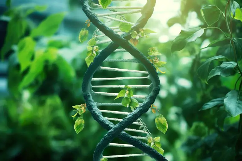 DNA — regeneração celular